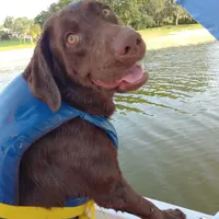 processed/db1077a4-6136-4408-873e-0cb0076291d1/facility/1855984f-202e-4de8-b89c-fb22ba3472ba