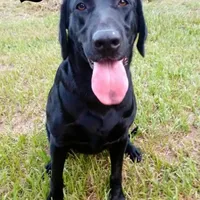 processed/db1077a4-6136-4408-873e-0cb0076291d1/facility/3b1d4454-32bd-408b-8a88-65d27da9721d