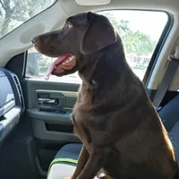 processed/db1077a4-6136-4408-873e-0cb0076291d1/facility/3b5e7d6b-20a7-4371-be16-e7d9351056d2