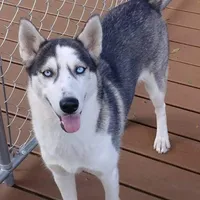 processed/db1077a4-6136-4408-873e-0cb0076291d1/facility/400f62df-6b1b-4145-95b7-1405cdd59fe3