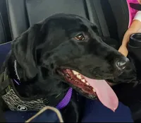 processed/db1077a4-6136-4408-873e-0cb0076291d1/facility/4d2a6ff9-b575-4834-b0b3-d0752e587c11