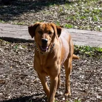 processed/db1077a4-6136-4408-873e-0cb0076291d1/facility/75cdac03-06fb-4a19-b4e4-3d310e92d09d