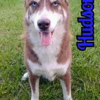 processed/db1077a4-6136-4408-873e-0cb0076291d1/facility/f8d89abe-9744-4893-9c6e-8fd809e693e3