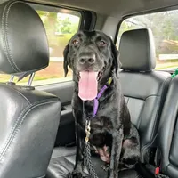 processed/db1077a4-6136-4408-873e-0cb0076291d1/facility/fdaf9773-fd2b-4764-8758-368095d50a3e