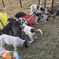 processed/db1078a9-b714-4d1a-8b94-5a81c7861983/facility/1cb12abe-d5ea-4f58-97ec-fd9816e614e1