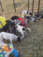 processed/db1078a9-b714-4d1a-8b94-5a81c7861983/facility/1cb12abe-d5ea-4f58-97ec-fd9816e614e1