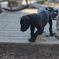 processed/db1078a9-b714-4d1a-8b94-5a81c7861983/facility/337042b5-87d7-46aa-851e-1340922e6da0