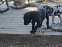 processed/db1078a9-b714-4d1a-8b94-5a81c7861983/facility/337042b5-87d7-46aa-851e-1340922e6da0