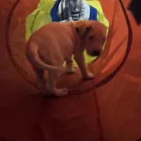 processed/db1078a9-b714-4d1a-8b94-5a81c7861983/facility/4ea9b201-4c11-46c8-ad61-7dc0cb5c0ef6