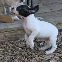 processed/db1078a9-b714-4d1a-8b94-5a81c7861983/facility/5f5c3034-ee9f-4330-bceb-b26db11c20d9