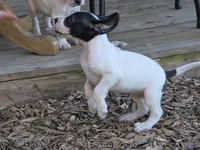 processed/db1078a9-b714-4d1a-8b94-5a81c7861983/facility/5f5c3034-ee9f-4330-bceb-b26db11c20d9