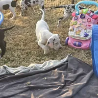 processed/db1078a9-b714-4d1a-8b94-5a81c7861983/facility/6e51e109-380b-4d38-85e3-8add17a16519