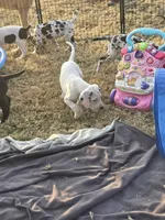 processed/db1078a9-b714-4d1a-8b94-5a81c7861983/facility/6e51e109-380b-4d38-85e3-8add17a16519