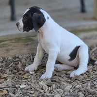 processed/db1078a9-b714-4d1a-8b94-5a81c7861983/facility/6ff46d45-6e59-43a5-8f86-3c9826b90ba0