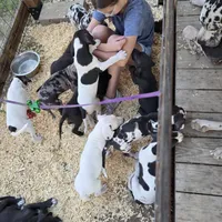 processed/db1078a9-b714-4d1a-8b94-5a81c7861983/facility/d5665efa-cfe6-4a2c-be06-097fb2c199d1