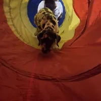 processed/db1078a9-b714-4d1a-8b94-5a81c7861983/facility/df8bcb77-8126-45e8-b328-dfce3dab63d1