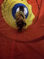 processed/db1078a9-b714-4d1a-8b94-5a81c7861983/facility/df8bcb77-8126-45e8-b328-dfce3dab63d1