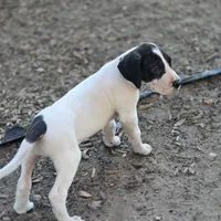 processed/db1078a9-b714-4d1a-8b94-5a81c7861983/facility/e2237752-7b56-4244-998b-0e58a8299a25