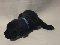 processed/db1078a9-b714-4d1a-8b94-5a81c7861983/listing/0ce5202c-5711-4a3a-81fd-f6cb4ded23ab/6c2ef2c4-b0bc-45d1-aefe-04cbf6b4c34d