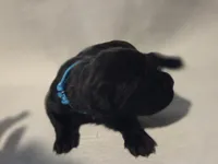 processed/db1078a9-b714-4d1a-8b94-5a81c7861983/listing/0ce5202c-5711-4a3a-81fd-f6cb4ded23ab/8262c0db-ee74-4218-a49b-b1cb793eeb4a