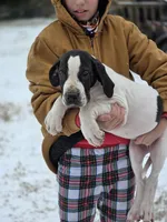 processed/db1078a9-b714-4d1a-8b94-5a81c7861983/listing/36cebda6-7f21-44e0-8cb5-ed399eaf843f/2eaaca47-46d0-43ba-b39c-5fe66b901019