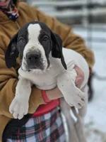 processed/db1078a9-b714-4d1a-8b94-5a81c7861983/listing/36cebda6-7f21-44e0-8cb5-ed399eaf843f/6811865e-8efa-40b2-83e4-c7524f5ffe26