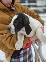 processed/db1078a9-b714-4d1a-8b94-5a81c7861983/listing/36cebda6-7f21-44e0-8cb5-ed399eaf843f/e259c35e-eec0-402b-bbcd-5c5b5a75b21a