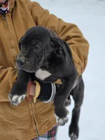 processed/db1078a9-b714-4d1a-8b94-5a81c7861983/listing/8b00db9e-8909-468d-860b-b1901e1d2fe5/50077bc5-0670-4158-91fd-0f3354ca146c