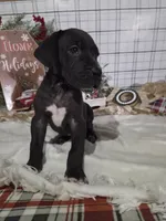 processed/db1078a9-b714-4d1a-8b94-5a81c7861983/listing/8b00db9e-8909-468d-860b-b1901e1d2fe5/9371371d-efa7-4991-ae6c-957e4d549b25