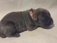 processed/db1078a9-b714-4d1a-8b94-5a81c7861983/listing/9589f3ee-d946-4c3e-a6c6-7c219c0eef0b/2d0fa39d-b2cb-44f1-a61d-90641491147a