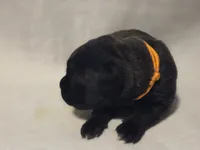 processed/db1078a9-b714-4d1a-8b94-5a81c7861983/listing/a2a7f336-d2b3-4404-9fd4-80bec0468944/4cff8eaf-48d3-493a-96e7-4a7436cee150