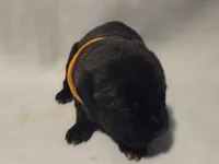 processed/db1078a9-b714-4d1a-8b94-5a81c7861983/listing/a2a7f336-d2b3-4404-9fd4-80bec0468944/a53ce9f1-0974-4eaa-8f4d-2906e1168dfd