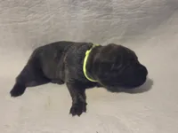 processed/db1078a9-b714-4d1a-8b94-5a81c7861983/listing/a7a1750f-281e-4f9e-96d6-b14fd9b3ad26/f9a2b9d1-33e0-467f-8967-313d0512285c