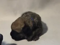 processed/db1078a9-b714-4d1a-8b94-5a81c7861983/listing/d9732b52-e706-4c93-a30d-f7447c715642/066a5ffb-c673-4c13-aa05-5455adffb393