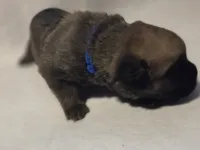 processed/db1078a9-b714-4d1a-8b94-5a81c7861983/listing/d9732b52-e706-4c93-a30d-f7447c715642/9d712961-7bda-48f6-947d-e6a8a3130dfd