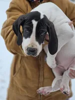 processed/db1078a9-b714-4d1a-8b94-5a81c7861983/listing/dcb875c8-76ec-43ea-bfde-f99809b864d8/9df95656-9d44-46ad-a70c-8f647fd580f3