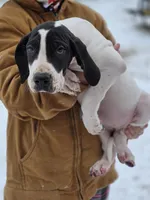 processed/db1078a9-b714-4d1a-8b94-5a81c7861983/listing/dcb875c8-76ec-43ea-bfde-f99809b864d8/b9cabc36-ee2c-4a68-ae46-b5170ff1457d