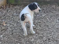 processed/db1078a9-b714-4d1a-8b94-5a81c7861983/listing/dcb875c8-76ec-43ea-bfde-f99809b864d8/c4c108d1-5e1d-4a89-865d-b02ced4d1f8d