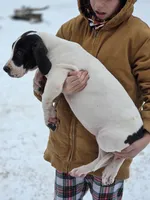 processed/db1078a9-b714-4d1a-8b94-5a81c7861983/listing/dcb875c8-76ec-43ea-bfde-f99809b864d8/da35a1ab-51c4-4ecd-a42b-f46940286d38