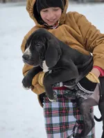 processed/db1078a9-b714-4d1a-8b94-5a81c7861983/listing/deee4653-fca0-474c-b451-9dcd8f5f03d8/838ae512-03da-48e5-8504-d1d1d275ae03