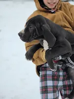 processed/db1078a9-b714-4d1a-8b94-5a81c7861983/listing/deee4653-fca0-474c-b451-9dcd8f5f03d8/f2d87137-42aa-4d87-9466-1de85e76b830