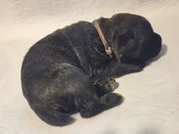 processed/db1078a9-b714-4d1a-8b94-5a81c7861983/listing/f49a1ed0-ba26-48fe-8779-288d41b00b1d/d70fc777-d45e-4e2c-a974-df3d8c66915e