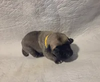 processed/db1078a9-b714-4d1a-8b94-5a81c7861983/listing/f97f1b2f-09ea-40db-b882-8979b6aa69a9/1fd10d17-bc55-43e9-925c-8de00c374320