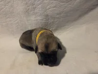 processed/db1078a9-b714-4d1a-8b94-5a81c7861983/listing/f97f1b2f-09ea-40db-b882-8979b6aa69a9/1fee4997-2ef2-4fef-8f6b-57daba6c56c0