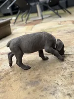 Cane Corso  Male Gray, a male Cane Corso for sale in Barrington, IL – 6 of 10