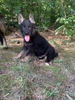 processed/db282913-5ef9-4182-8dbb-896cb0ee6bbd/facility/4fd720c3-904c-4c94-86b9-37027fc53c0d