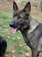 processed/db282913-5ef9-4182-8dbb-896cb0ee6bbd/facility/74275159-6b9f-4704-b9db-85e99191025b