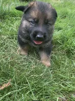 processed/db282913-5ef9-4182-8dbb-896cb0ee6bbd/facility/8455c314-a4bb-4926-b910-e568313b32f4