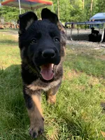 processed/db282913-5ef9-4182-8dbb-896cb0ee6bbd/facility/9fd09e7f-6ceb-42ea-a925-14cdeb1bd09e