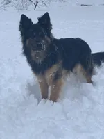 processed/db282913-5ef9-4182-8dbb-896cb0ee6bbd/facility/d7f5ab00-86c9-41b1-85a4-15d816714d01